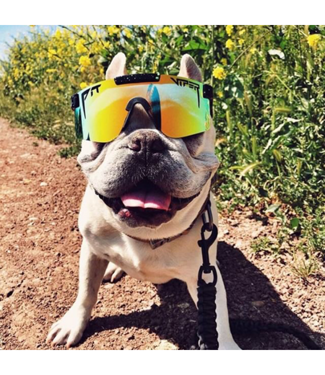 PIT VIPER THE MONSTER BULL SINGLE WIDE POLARIZED SUNGLASSES