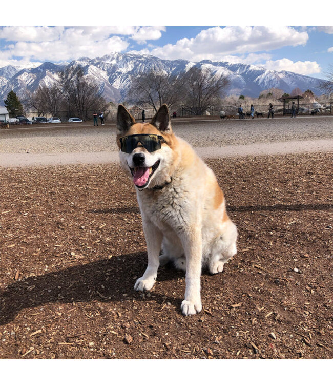 PIT VIPER THE EXEC SINGLE WIDE SUNGLASSES