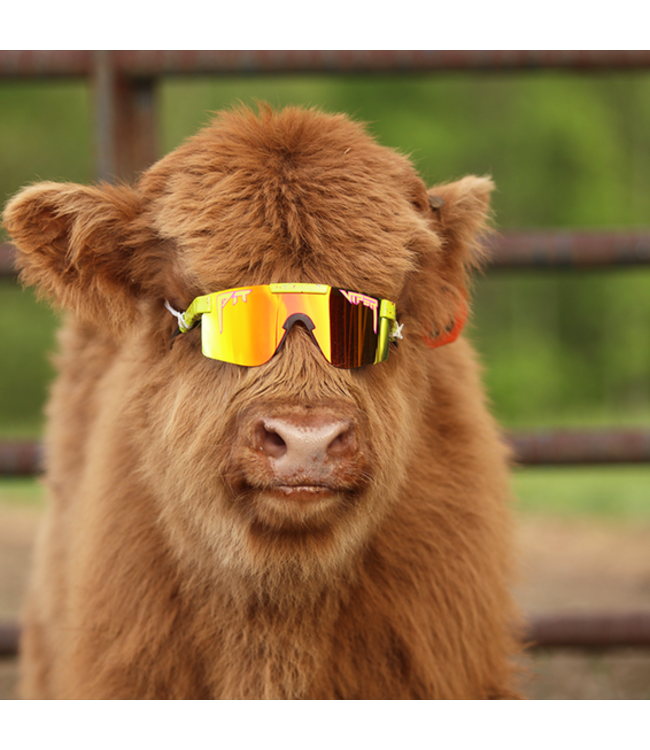 PIT VIPER THE 1993 DOUBLE WIDE POLARIZED SUNGLASSES