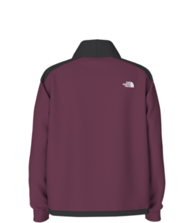 THE NORTH FACE WOMENS ALPINE POLARTEC 200 ZIP BOYSENBERRY 2024