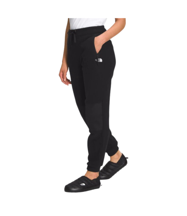 THE NORTH FACE WOMENS ALPINE POLARTEC 200 PANT TNF BLACK 2024