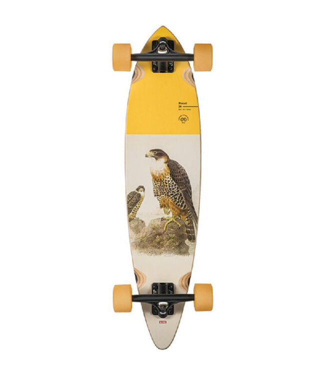 GLOBE LONGBOARD COMPLETE PINTAIL FALCON