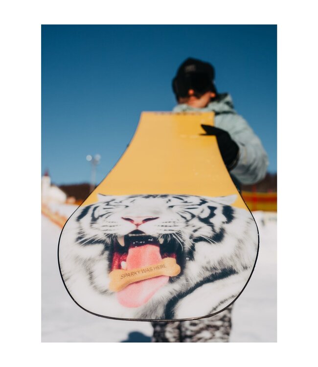 BURTON PROCESS CAMBER SNOWBOARD 2025