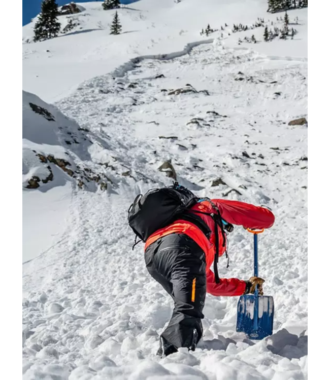 BCA DOZER 2D SHOVEL 2025