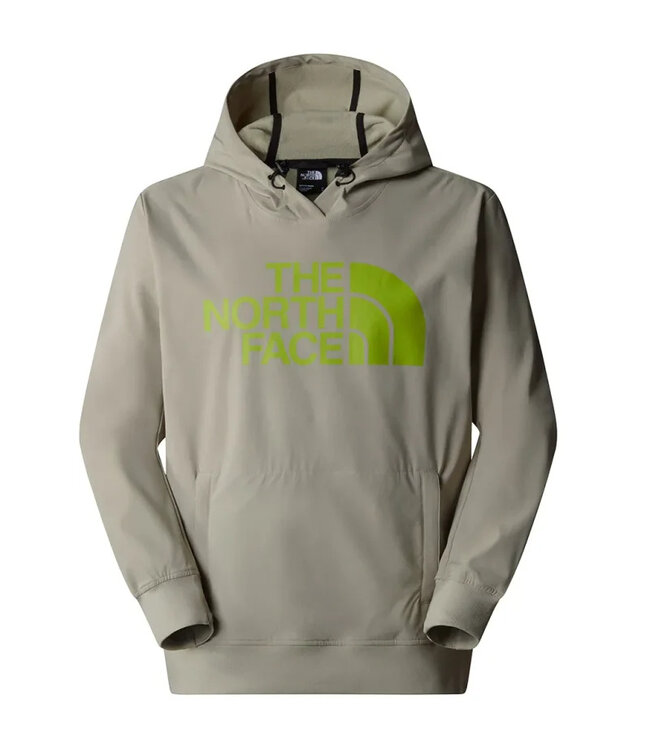 THE NORTH FACE TEKNO LOGO HOODIE CLAY GREY 2025