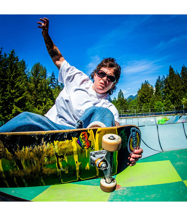 PIT VIPER SLAMMER SUNGLASSES THE SPINE TINGLER w/ SILVER