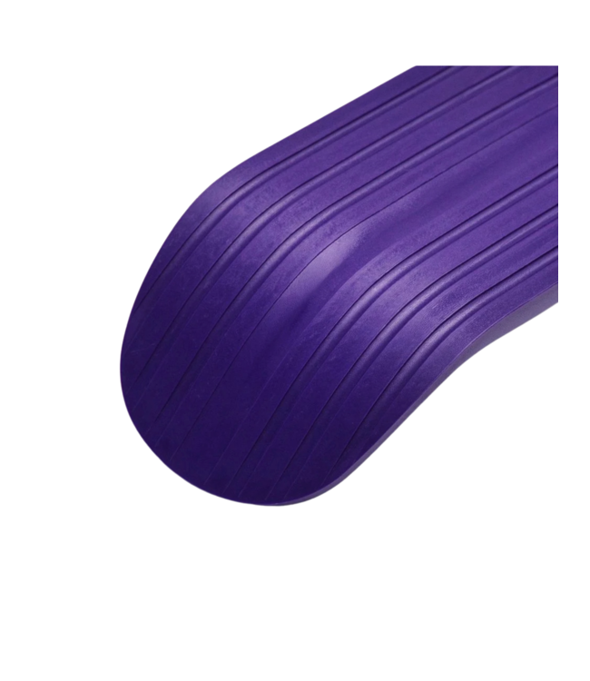 AMBITION JIB SNOWSKATE PURPLE 2023