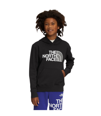 THE NORTH FACE THE NORTH FACE BOYS CAMP FLEECE PULLOVER HOODIE THE NORTH FACE BLACK 2023
