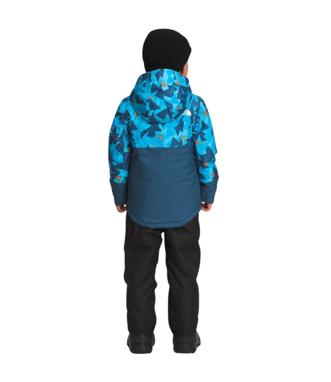 THE NORTH FACE KIDS FREEDOM INSULATED SNOW JACKET ACSBUTRGLCMPRNT 2023