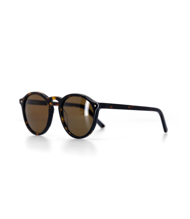 ASHBURY HOLIDAY SUNGLASSES TORTOISE