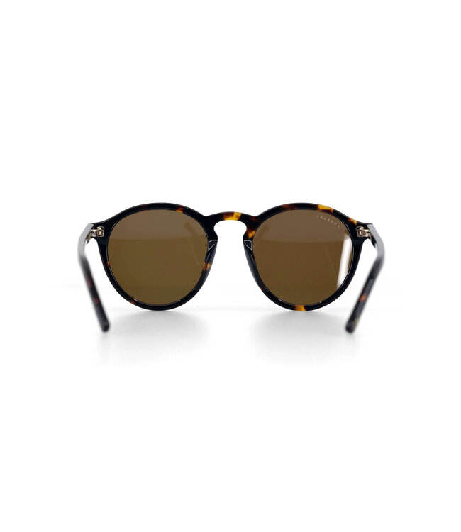 ASHBURY HOLIDAY SUNGLASSES TORTOISE