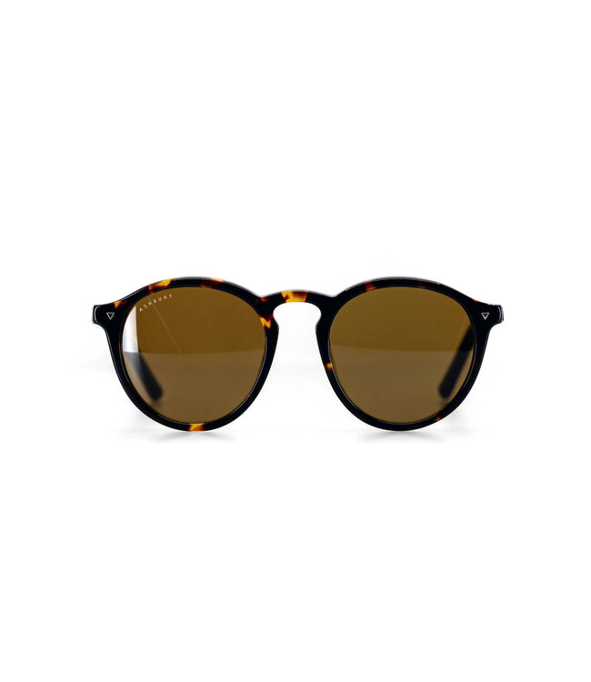 ASHBURY HOLIDAY SUNGLASSES TORTOISE