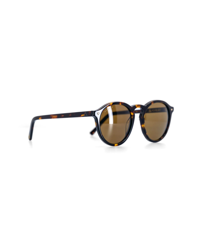 ASHBURY HOLIDAY SUNGLASSES TORTOISE