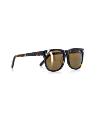 ASHBURY ASHBURY DAY TRIPPER SUNGLASSES BROWN TORTOISE