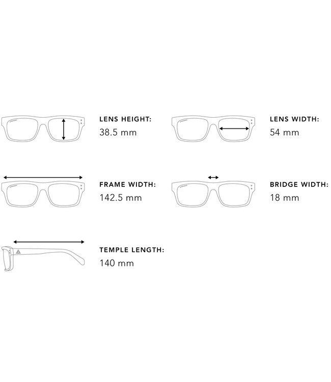 ASHBURY SLIDE MACHINE SUNGLASSES TORTOISE