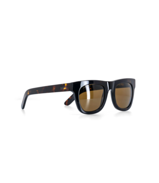 ASHBURY ASHBURY DAVIDSON SUNGLASSES TORTOISE