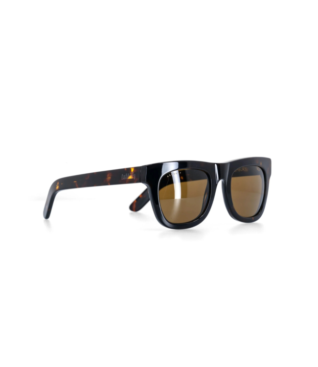 ASHBURY DAVIDSON SUNGLASSES TORTOISE