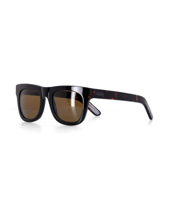 ASHBURY DAVIDSON SUNGLASSES TORTOISE
