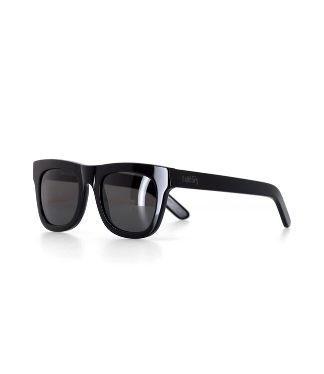 ASHBURY DAVIDSON SUNGLASSES BLACK GLOSS