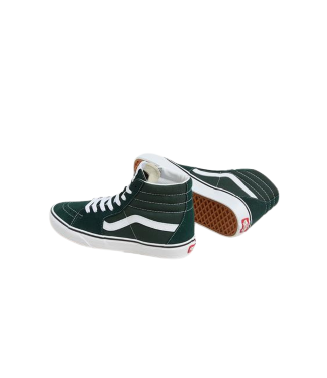 VANS MENS SK8-HI COLOR THEORY SHOES SCARAB