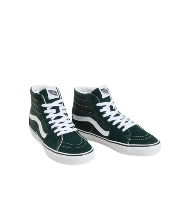 VANS MENS SK8-HI COLOR THEORY SHOES SCARAB