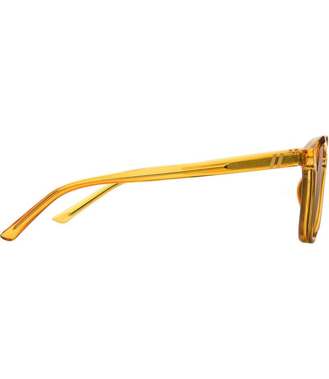 BLENDERS SYDNEY AMBER COAST SUNGLASSES AMBER w/ BROWN POLAR LENS