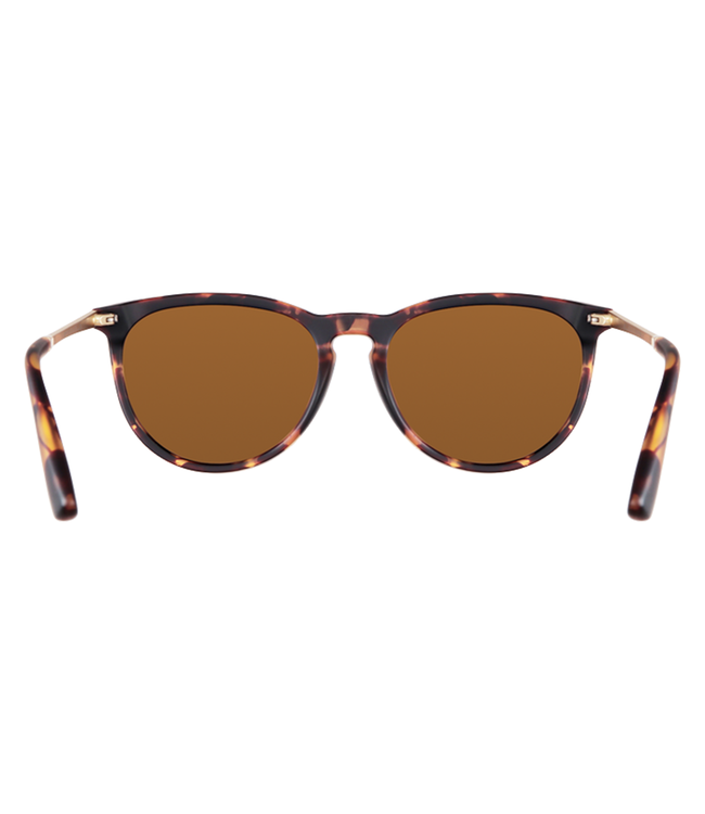 BLENDERS NORTH PARK X2 BRANDY NIGHT SUNGLASSES MATTE TORT w/ AMBER POLAR LENS