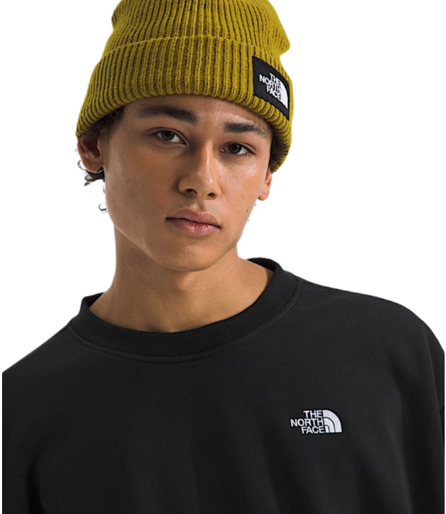 THE NORTH FACE EVOLUTION SIMPLE DOME CREW BLACK 2026