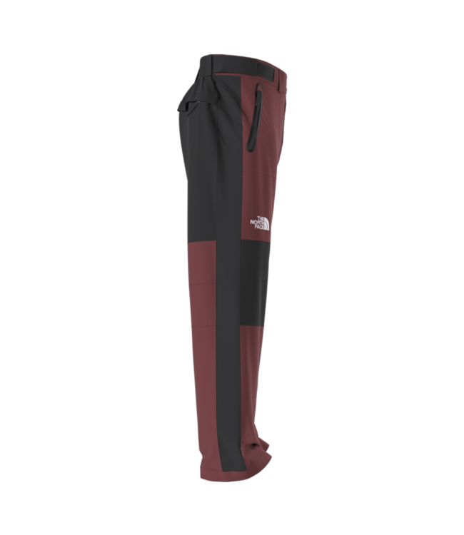 THE NORTH FACE GORE-TEX HEX PANT REGULAR SUMAC/BLACK 2026
