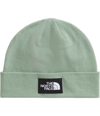 THE NORTH FACE THE NORTH FACE DOCK WORKER RECYCLED BEANIE SLATE MOSS 2026