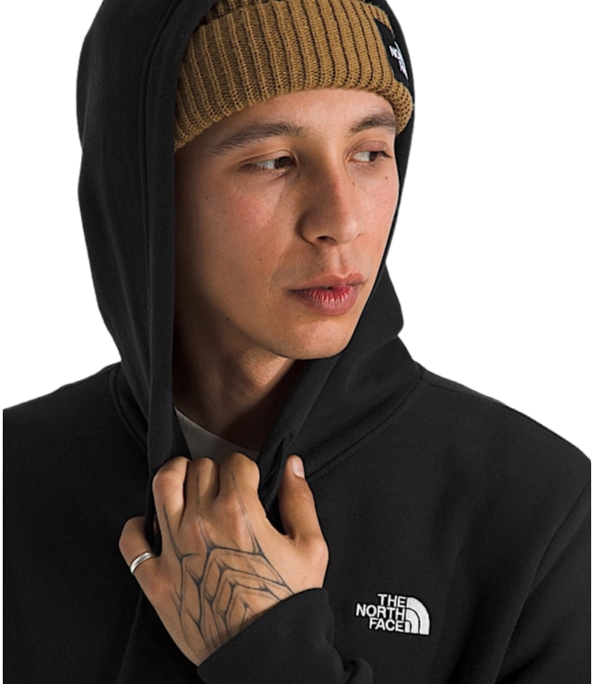 THE NORTH FACE EVOLUTION SIMPLE DOME HOODIE BLACK 2026