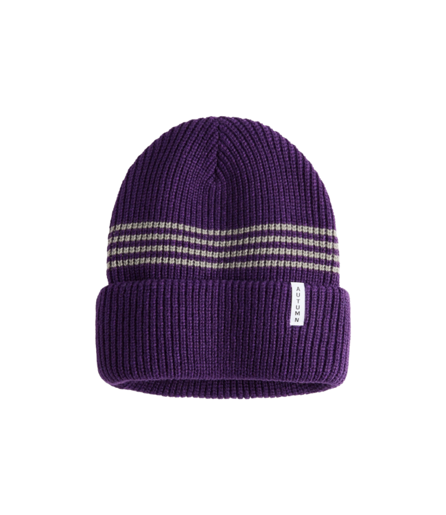 AUTUMN YOUTH MINI STRIPE BEANIE GRAPE 2026