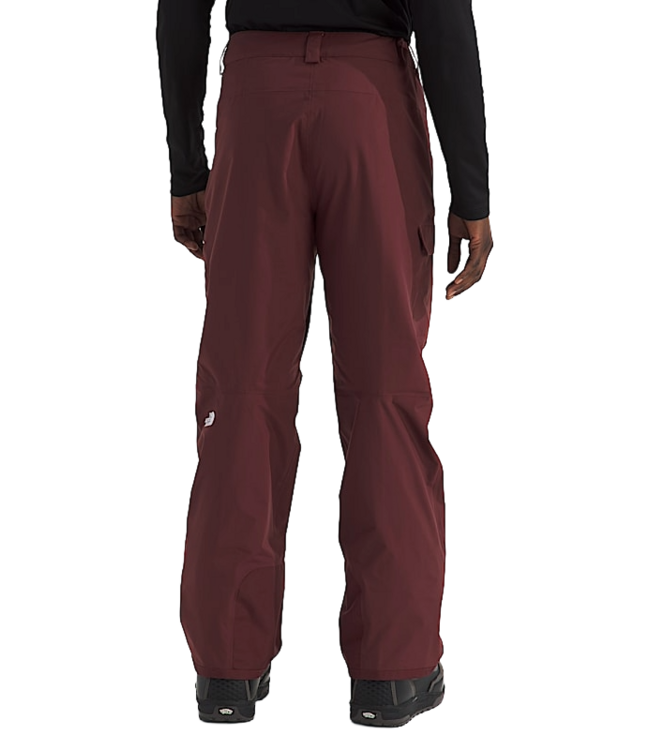THE NORTH FACE FREEDOM PANT REGULAR SUMAC 2026