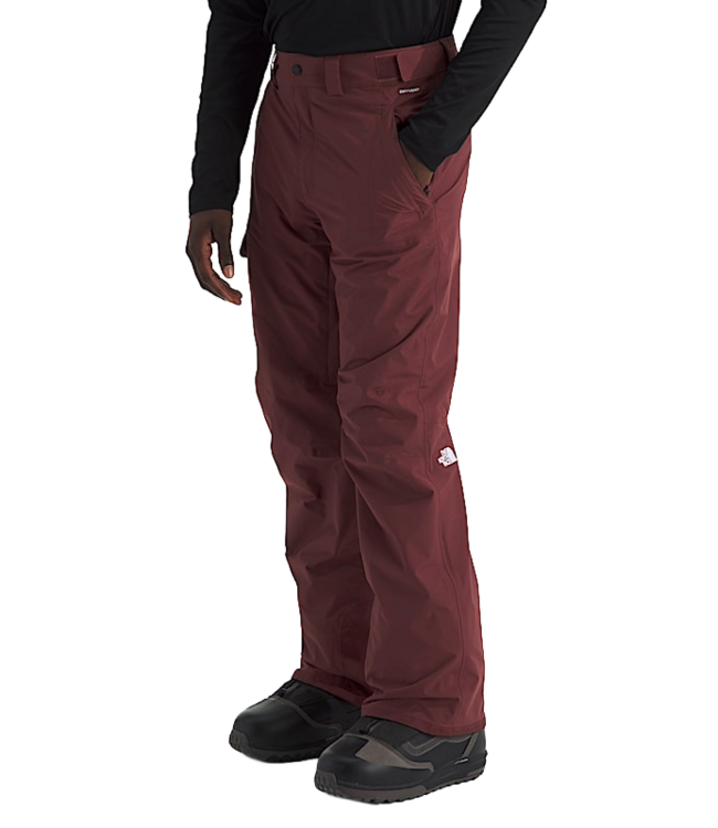 THE NORTH FACE FREEDOM PANT REGULAR SUMAC 2026