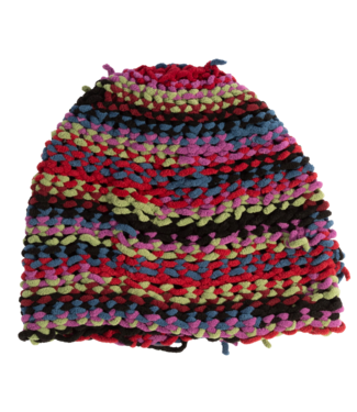 COAL COAL LAMPSHADE SKULLY BEANIE MULTI 2026