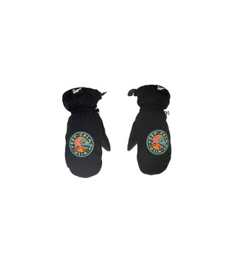 SALMON ARMS SALMON ARMS CLASSIC MITT KEEP SALMON WILD 2026