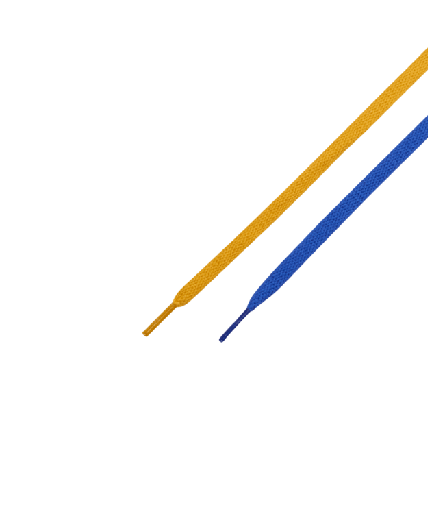 NIKE SB MENS ZOOM BLAZER MID PRO GT UNI GOLD/GAME ROYAL