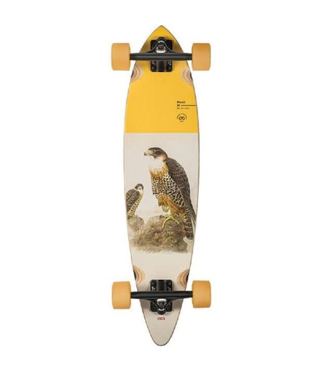 GLOBE LONGBOARD COMPLETE PINTAIL FALCON