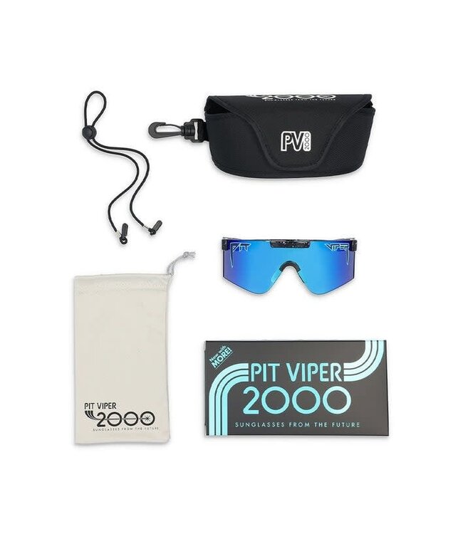 PIT VIPER THE HAIL SAGAN 2000S SUNGLASSES