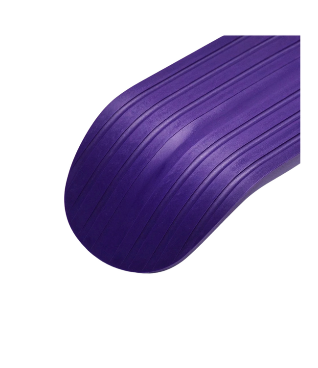 AMBITION JIB SNOWSKATE PURPLE 2023