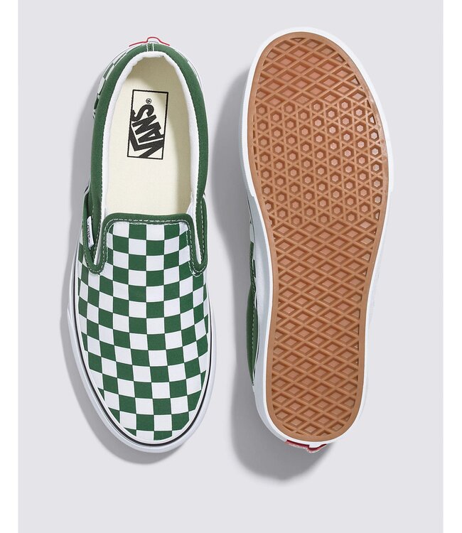 VANS MENS CLASSIC SLIP-ON SHOE COLOUR THEORY GREENER PASTURES