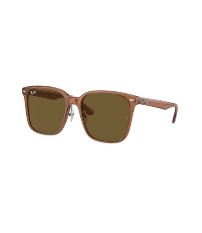 RAY-BAN RB2206D SUNGLASSES TRANSPARENT BROWN w/ DARK BROWN