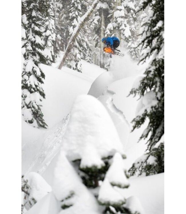 LIB TECH DYNAMO SNOWBOARD 2025