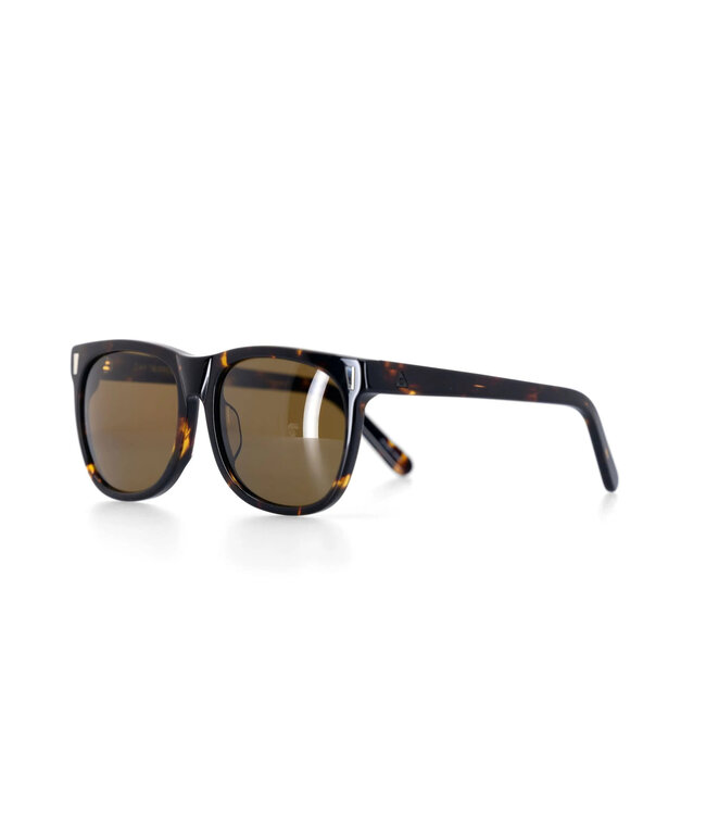 ASHBURY DAY TRIPPER SUNGLASSES BROWN TORTOISE