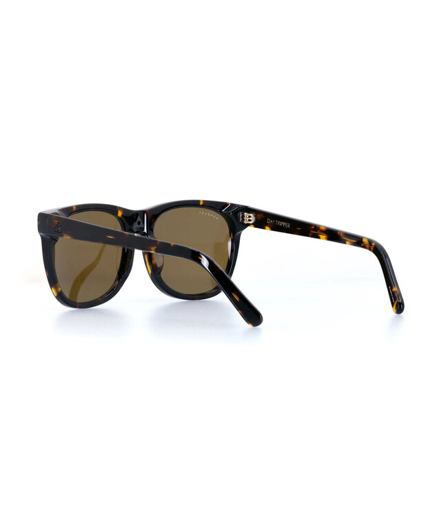 ASHBURY DAY TRIPPER SUNGLASSES BROWN TORTOISE