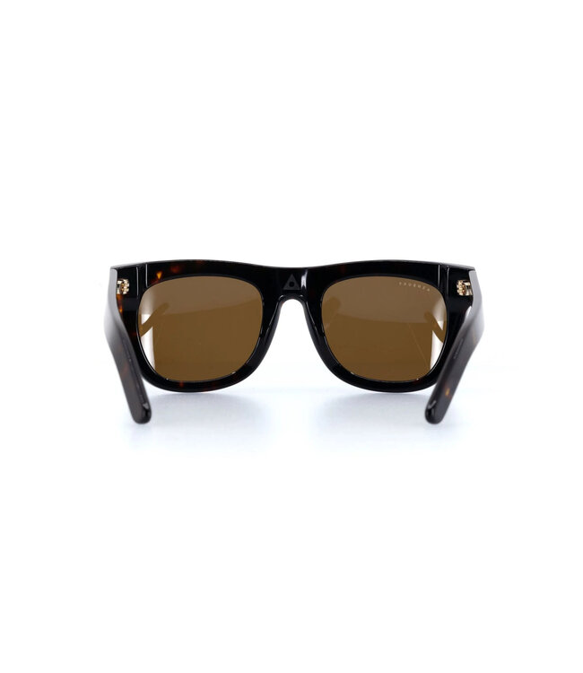 ASHBURY DAVIDSON SUNGLASSES TORTOISE