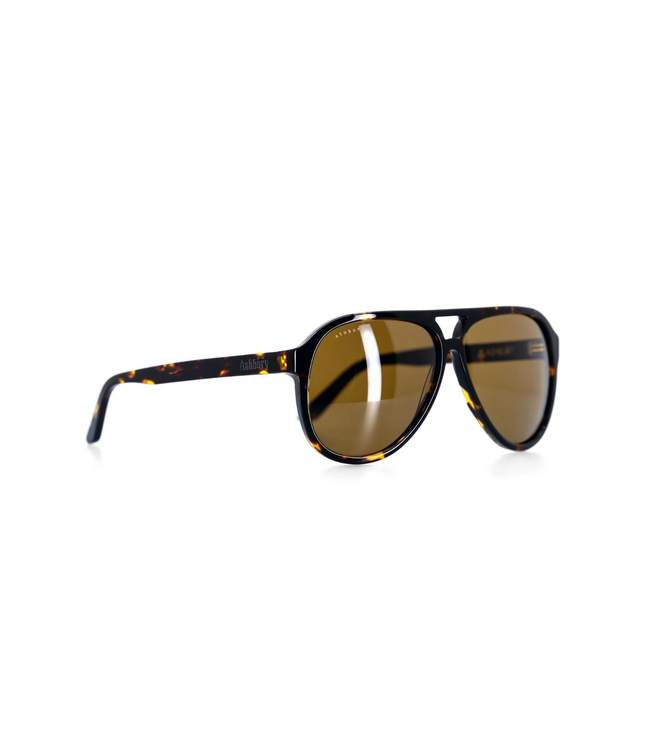 ASHBURY COSTA NORTE SUNGLASSES TORTOISE