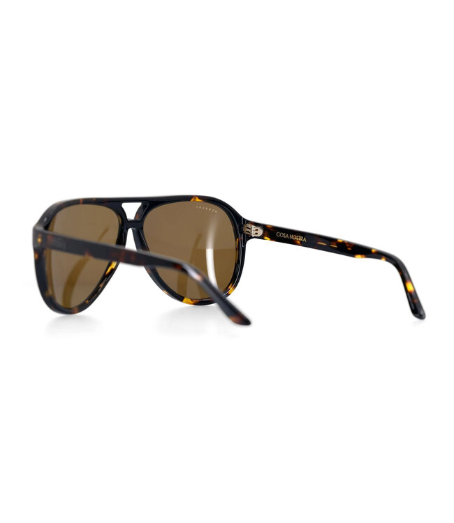 ASHBURY COSTA NORTE SUNGLASSES TORTOISE