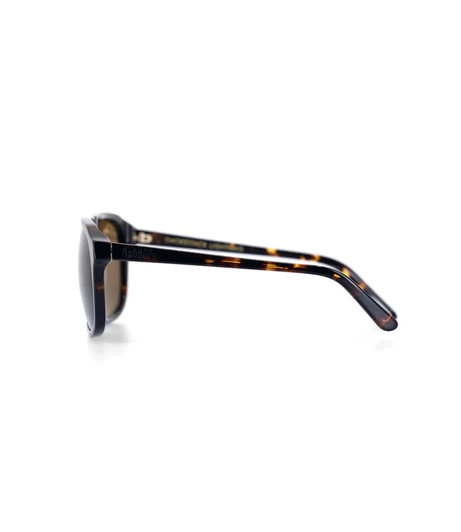 ASHBURY SMOKESTACK LIGHTNING SUNGLASSES TORTOISE