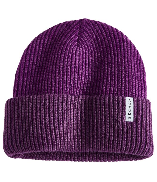 AUTUMN YOUTH BLOCKED Y BEANIE EGGPLANT 2025